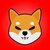 1000SHIB